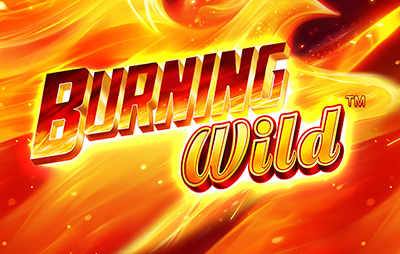 Burning Wild